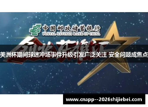 美洲杯期间球迷冲场事件升级引发广泛关注 安全问题成焦点